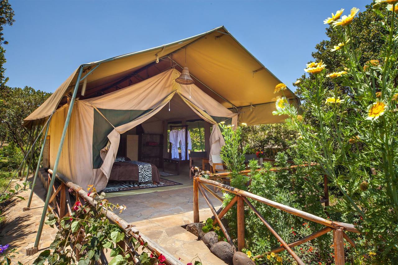 观犀牛旅行山林小屋 Mweiga 外观 照片